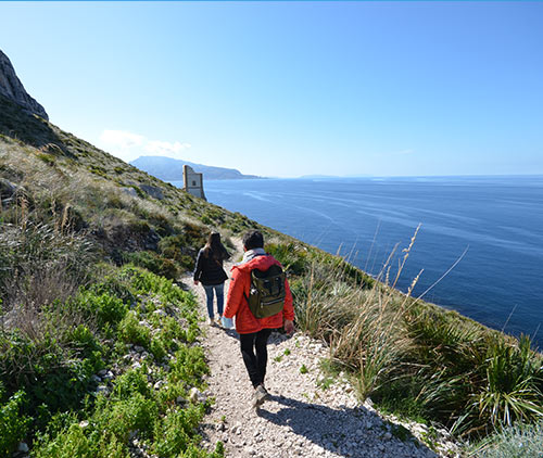 Excursions San Vito lo Capo, Zingaro and Trapani